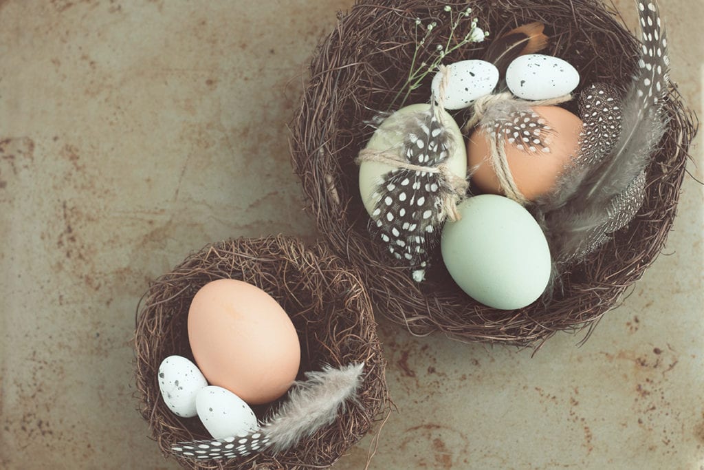 todo sobre los huevos