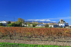 tour ruta de la garnacha