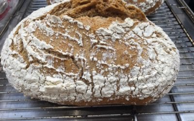 Cómo hacer pan casero en casa, conoce las recetas para hacer pan en casa