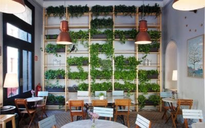 11 bares originales en Zaragoza con gusto en la carta y la decoración