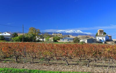La Zarola se va de tour por la Ruta de la Garnacha