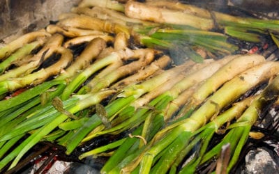 Cinco restaurantes donde comer calçots en Zaragoza