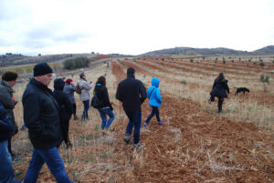 Excursión Trufa Negra