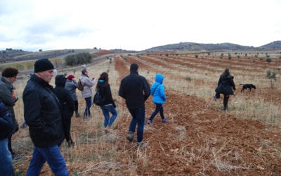 Excursión para buscar trufa negra con cata de cavas y degustación