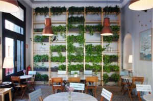 Bares originales en Zaragoza: Café Nolasco