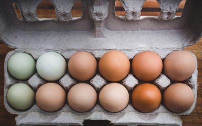 ¿Dónde debo conservar los alimentos dentro de la nevera?