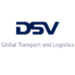 dsv_logo