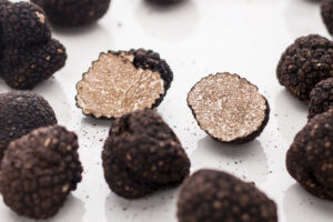 excursión trufa negra