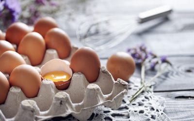 ¡Una cuestión de huevos! Los vídeos que no te puedes perder sobre este alimento