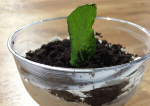 Receta maceta de queso con caramelo crunch