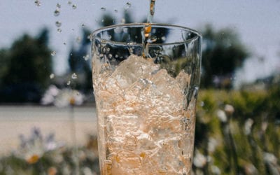 Seis alimentos para reducir los gases en tus comidas